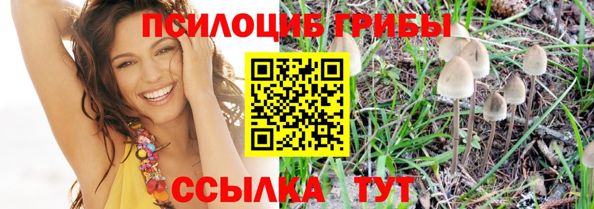 Галлюциногенные грибы мухоморы Саранск
