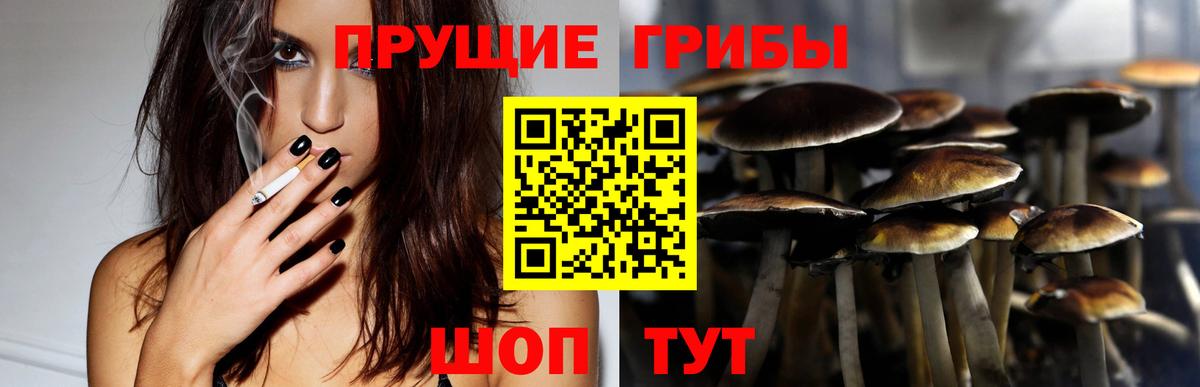 Саранск  Галлюциногенные грибы GOLDEN TEACHER  Вход с VPN 